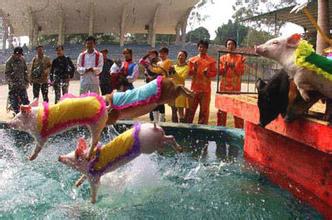 2014年游览山水田园-水上乐园